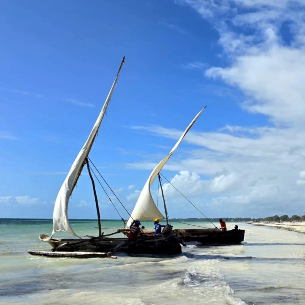 Jambiani Lagoon & Ngalawa Sailing in Zanzibar