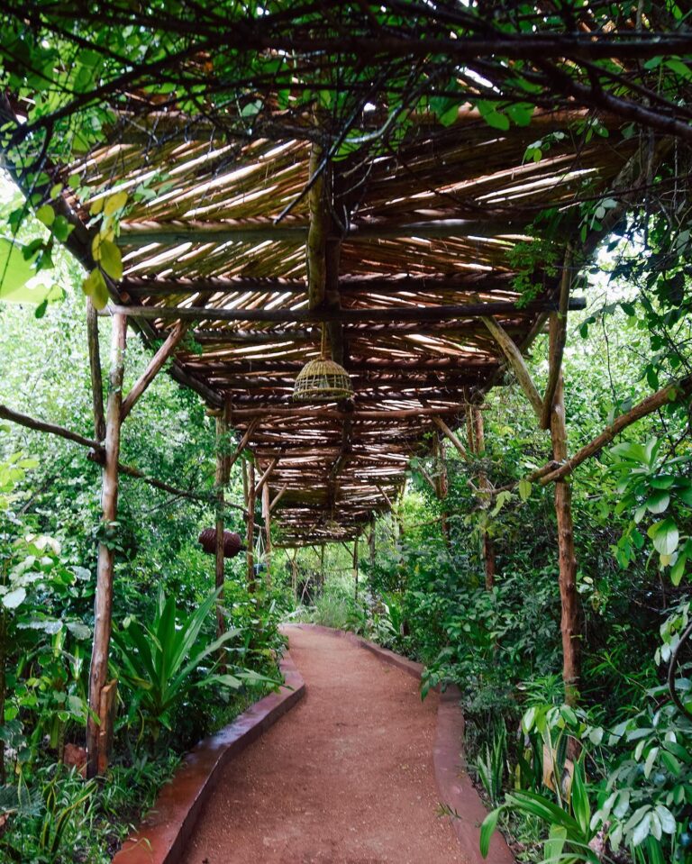Maalum Cave in Zanzibar