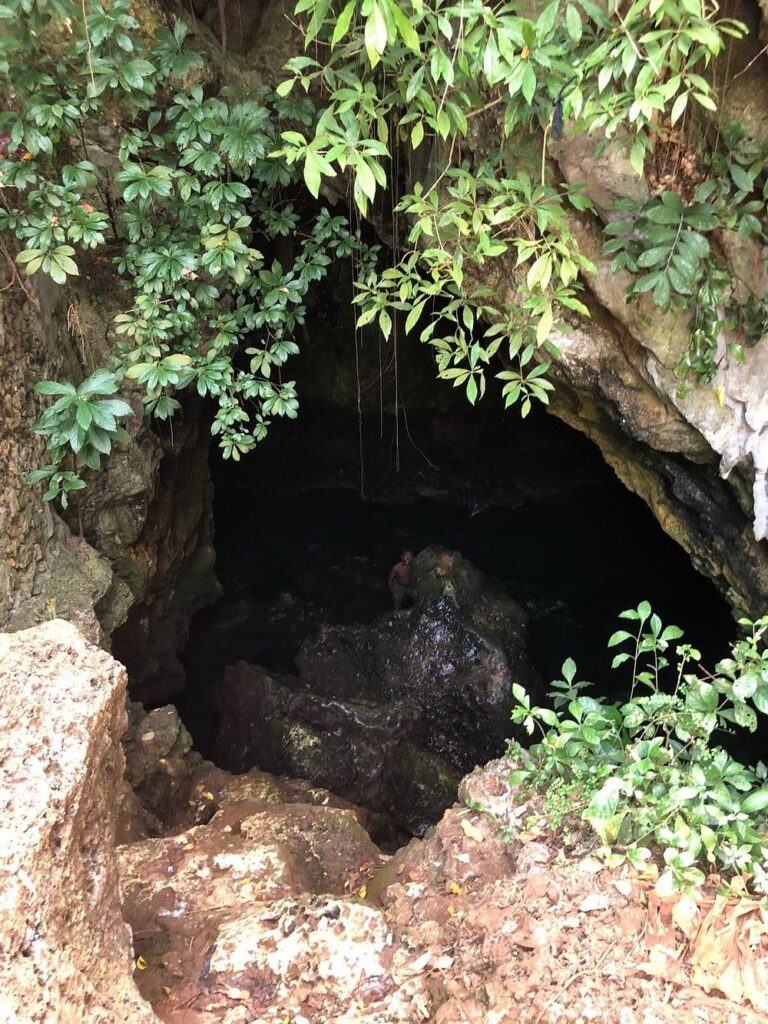Sunlight falling through the opening of a freshwater swimming cave in Zanzibar, surrounded by greenery